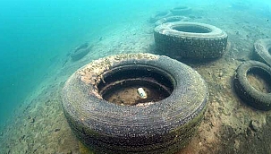 Van Gölü'nde dalgıçlardan dip temizliği! 