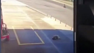 Demet Akalın çıldırdı! Yabancı uyrukluymuş! Bir s.... gidin 