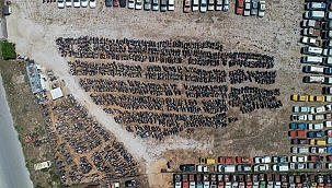 Dövizle getirilen binlerce araç, otoparklarda çürüyor