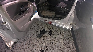 Kayınbabasını Silahla Vurdu