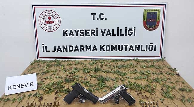 Kayseri'de kamu arazisinde kenevir yetiştiren 2 şüpheli yakalandı