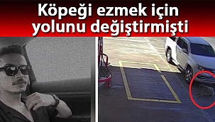 Köpeği ezmek için yolunu değiştirdi 'ehliyetsiz' çıktı