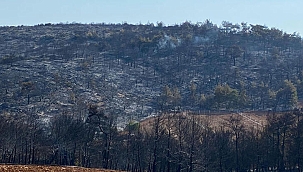 Manisa'daki orman yangını kontrol altına alındı 