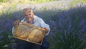 Özel Haber/Develiden Lavanta Balı Bal Üretiminde Develiden Yeni Bir Lezzet