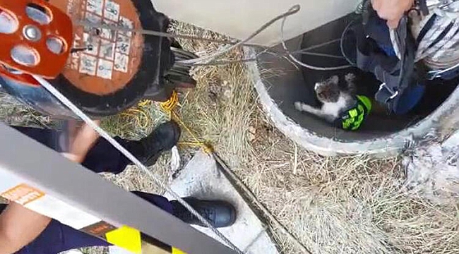 10 gün süren yavru kedi kurtarma operasyonu