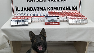 280 Paket Kaçak Sigara Ele Geçirildi