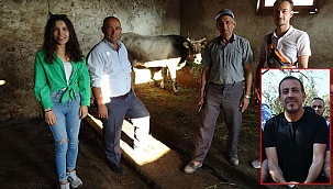 Kesimden kaçıp 25 gün sonra yakalanan kurbanlığı Ahbap satın aldı