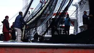 DKMP Genel Müdürlüğü: Av sezonu, 20 Ağustos'ta açılıyor