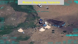 Bakan Soylu paylaştı 'Şu koyunların dağlarda otlamasına bak hele...'