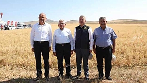 Başkan Güneş, Felahiye’de Nohut Hasatına Katıldı