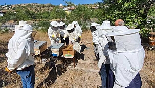 Hacılar Sosyal Yaşam Merkezinde Uygulamalı Arıcılık Eğitimi