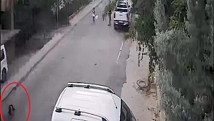 Kamyonet üzerinden geçtİ, çocuğun burnu bile kanamadı