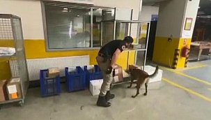 Kargoyla İngiltere'ye gönderilecek pakette uyuşturucu bulundu