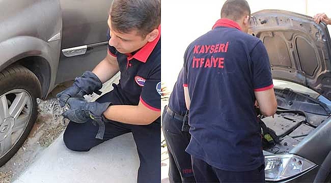 Kayseri'de itfaiye ekipleri araç motoruna giren kediyi kurtardı