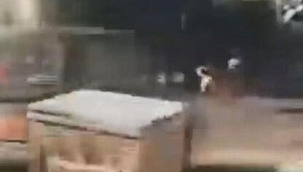  Köpeğe çarpıp kaçan sürücüye 4 yıla kadar hapis istemi