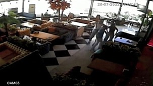 Üzerine Pitbull saldılar, kulağı koptu