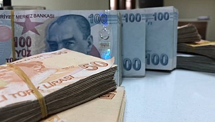 Merkezi Bütçe Temmuz Ayında 64 Milyar 19 Milyon Lira Açık Verdi