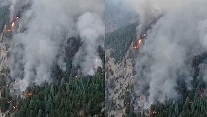 Mersin'de orman yangınında 2'nci gün