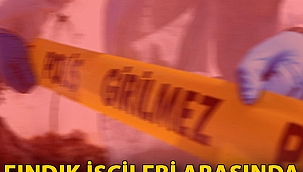 Ordu' da fındık işçileri arasında silahlı kavga: 12 yaralı