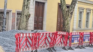  Orman Mühendisleri Odası '112 Çınar Raporu' nu açıkladı