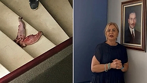 Prof. Esin Davutoğlu Şenol: Dana diliyle tehdit edildim