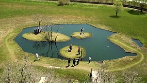 Profesörden korkutan uyarı: 'Kurallara uyulmazsa kaybederiz' 