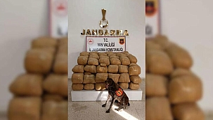 Süleyman Soylu: Van'da 700 kilo toz esrar ele geçirildi