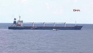 Tahıl gemisinde denetim başladı