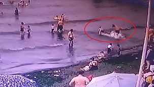 Trabzon' da köpeğin denizde yüzen çocuğa saldırdığı anlar kamerada