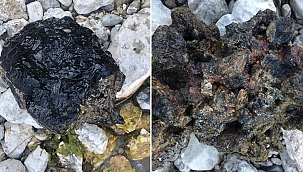 Türkiye Tabiatını Koruma Derneği: Eğirdir'in 'Altınkum'u 'kömürkum'a dönüştü 