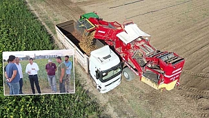 Yeşilhisar'da Patates Hasatı Başladı