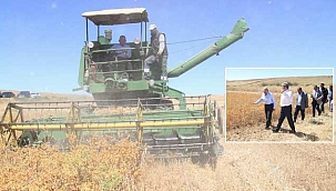 Bünyan’da Ekilen Aspirin Hasadını Başkanlar Yaptı