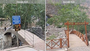 Kapuzbaşı Şelalelerinde Bulunan Elif Şelalesinde Çiçekler Açıyor