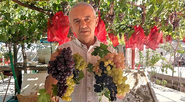 Tuzköyde Anadolu Üzüm Çeşitleri Çalıştayı