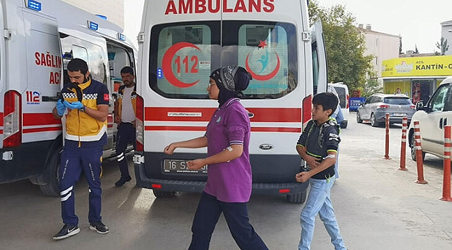 Kovanlarına vurulan arılar öğrencilerden intikam aldı