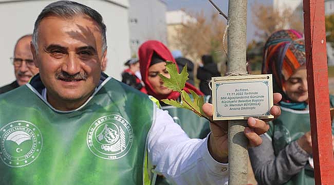 11 Kasım Milli Ağaçlandırma Günü’nde Seyrani Kampüsünde Binlerce Fidan Toprakla Buluştu