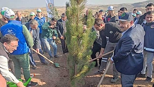 Başkan Güneş, Ağaç Dikim Programına Katıldı