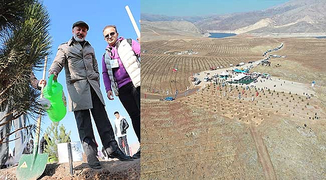 Kayseri’nin Denizinde, 3 Yılda 12 Milyon Ağaç Toprakla Buluşucak!