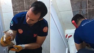 Büyükşehir İtfaiyesi, Tuvalet Giderine Sıkışan Minik Kediyi Kurtardı
