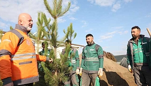 Kocasinan, Yeni Parklar ve Ağaç Dikmede Yeni Bir Rekora Hazırlanıyor