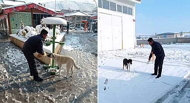 Pınarbaşı’nda Sokak Hayvanları Unutulmadı