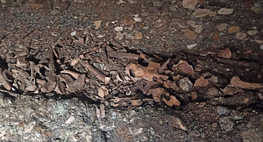 Adıyaman'da Roma döneminden oda mezarları ve insan kemikleri bulundu