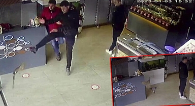 Atmaca, yakaladığı kumru ile balıkçıya girdi