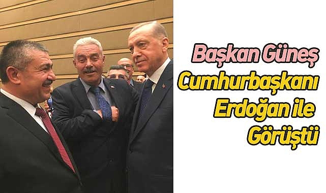 Başkan Güneş, Cumhurbaşkanı Erdoğan ile Görüştü