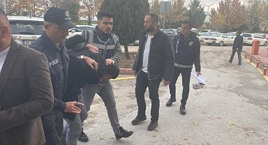 Köpeğin kürekle öldürülmesinde başsavcılıktan 2 sanığın tahliyesine itiraz