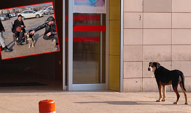 3 ay önce sahiplendiği köpek, hastane kapısından ayrılmadı