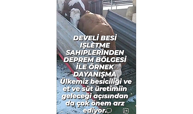 Develi Besi Işletme Sahıplerinden Deprem Bölgesi İle Örnek Dayanışma