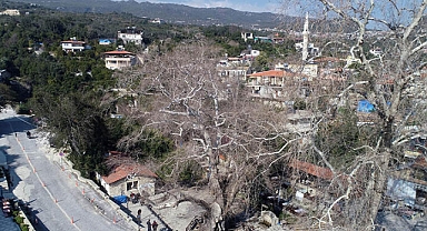 Kahramanmaraş'ta130 nüfuslu köyde can kaybı yok