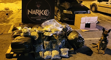 Yüklü miktarda esrar sevkiyatı yapan 2 şüpheli yakalandı