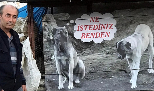 Köpeğinin zehirlenerek öldürülmesine pankartla tepki gösterdi